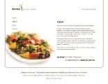 website design & coding