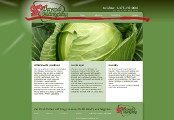 website design & coding