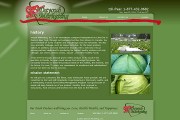 website design & coding
